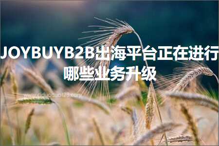 璺ㄥ鐢靛晢鐭ヨ瘑:JOYBUYB2B鍑烘捣骞冲彴姝ｅ湪杩涜鍝簺涓氬姟鍗囩骇