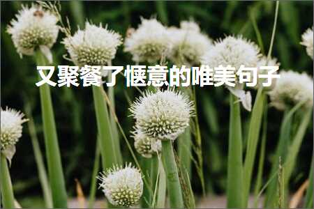 鍙堣仛椁愪簡鎯剰鐨勫敮缇庡彞瀛愶紙鏂囨136鏉★級