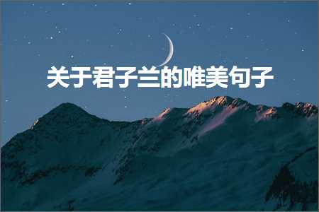 鐖辨儏鐨勪釜鎬х鍚嶅敮缇庡彞瀛愮煭鍙ワ紙鏂囨876鏉★級