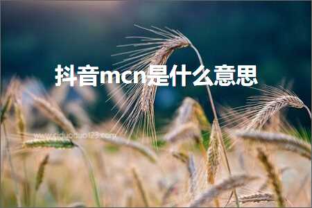 跨境电商知识:抖音mcn是什么意思