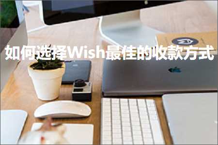 璺ㄥ鐢靛晢鐭ヨ瘑:濡備綍閫夋嫨Wish鏈€浣崇殑鏀舵鏂瑰紡